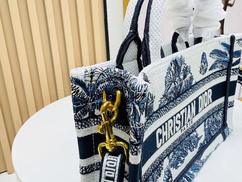 Image_20250817112919_6302 Dior Book Tote 21 cm Blue White Canvas