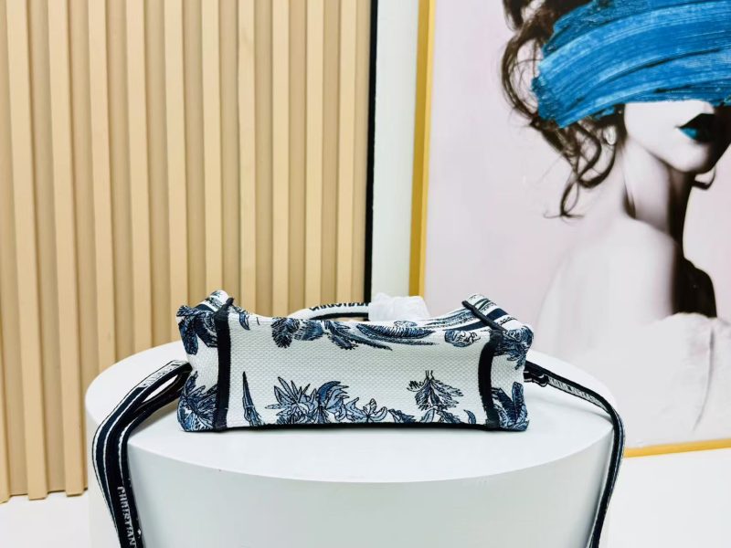 Image_20250817112919_6305 Dior Book Tote 21 cm Blue White Canvas