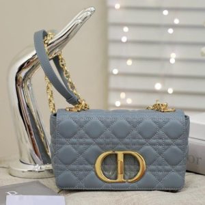 cd24c7f6-a1d9-4e51-90c7-81241e0e9c64_11d6b3a2-be58-4080-a5d1-6153c40f5cd7 SMALL CARO BAG GRAY SUPPLE CANNAGE CALFSKIN