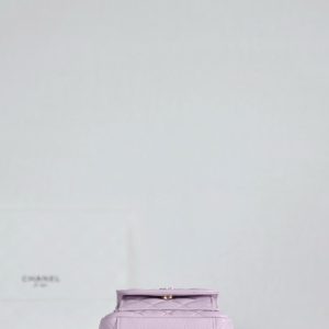 Chanel Mini Backpack Pink Purple Calfskin 335680