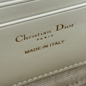 CD 30 Montaigne Dea Pouch 26cm White Blue Jacquard 258615