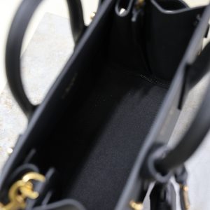 Sac De Jour Nano 22cm Black Grain Cowhide GHW