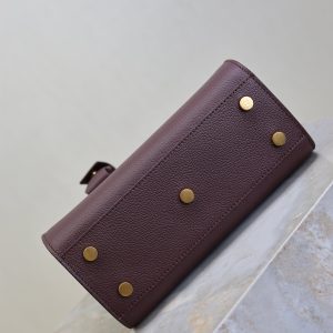 Sac De Jour Nano 22cm Dark Burgundy Grain Cowhide GHW