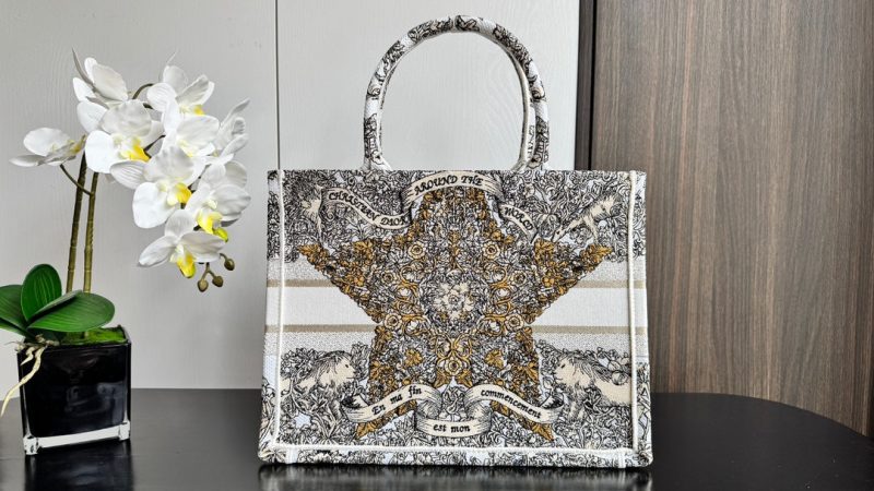 img_0faadb7d_20241211_i1733892779_6499_4_jpg CD Book Tote 36.5 Beige White Canvas Around The World