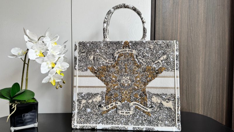 img_0faadb7d_20241211_i1733892819_7711_0.jpg_1 CD Book Tote 41.5 Beige White Canvas Around The World