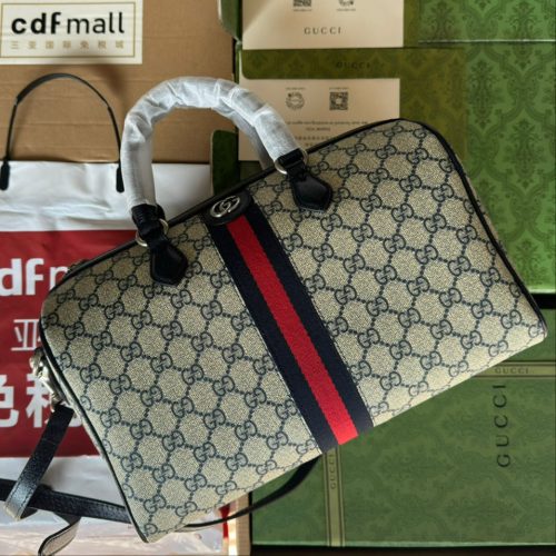 img_1d0ba638_20231220_i1703066768_7682_3_jpg Gucci Ophidia Bag Beige mix Blue Canvas 240088