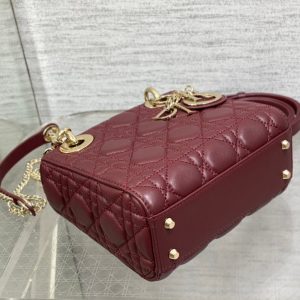 img_2b46f204_20231126_i1700983506_6225_8_jpg mini lady 17 wine lambskin