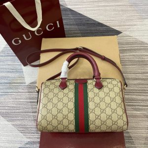 GG Ophidia Bag 25cm Canvas leather 339622