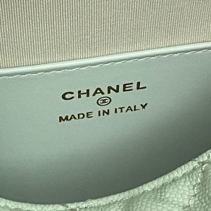 img_70762a6f_20250413_i1744551072982_4989_0_8_jpg CC Coco Crush Handle Lunch Bag Light Green Caviar Leather