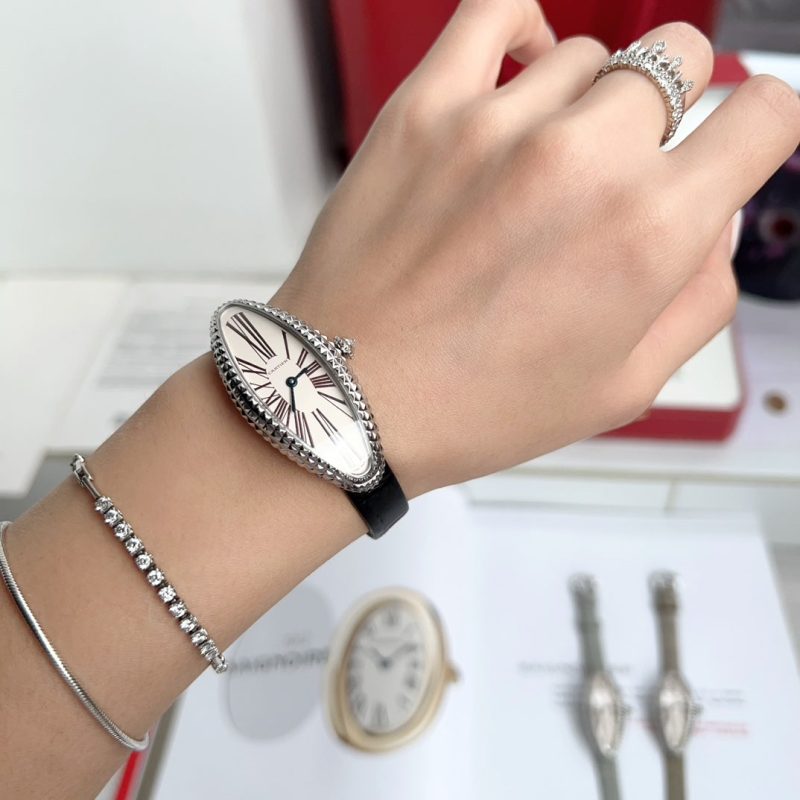 img_78aebd60_20241029_i1730188490_8537_10_jpg Vintage Baignoire 21mm Silver Diamond Case Black Leather