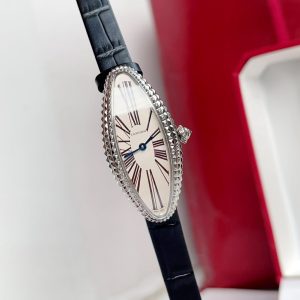 img_78aebd60_20241029_i1730188490_9471_0_jpg Vintage Baignoire 21mm Silver Diamond Case Black Leather