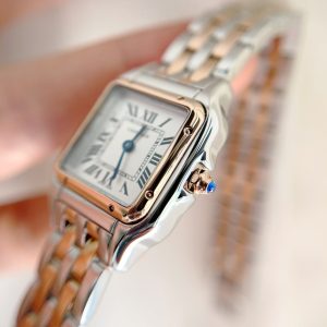 img_78aebd60_20241106_i1730902974_9028_5_jpg Panthere 22mm Pink Gold Silver Double Chain 44cm