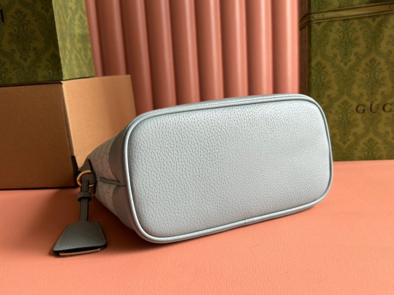 Gucci Ophidia 23cm Bag Gray Blue Canvas Leather 239917