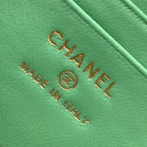 img_ecb71349_20241226_i1735186087113_3740_0_8.jpg_1 CC Vanity Case 17cm Jungle Green Leather Gold Hardware 238497