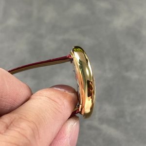 Baignoire Gold Case Red Leather Strap