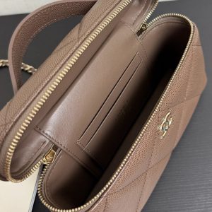 imgi_113_img_cdc7fab2_20260314_i1773438085324_9167_0_7_jpg Chanel 2026 Vanity Bag Dark Brown Caviar Leather Gold Hardware