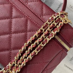 imgi_135_imgHD_2a2a0253_20260308_cmp_i1772947737104_8935_0_8_jpg Chanel 2026 Vanity Bag 19.5cm Burgundy Leather