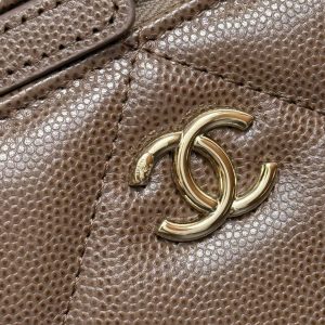 imgi_81_img_cdc7fab2_20260314_i1773438083365_8129_0_2_jpg Chanel 2026 Vanity Bag Dark Brown Caviar Leather Gold Hardware